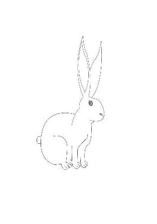 Rabbit Zodiac Sign